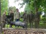 „Arboretum Wojs�awice”