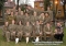 ZDJ�CIA GRUPOWE 2015-2016