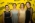 Studni�wka Zespo�u Szk� Budowlanych 2016