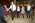 Studni�wka Zespo�u Szk� Budowlanych 2016