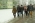 Narodowy Dzie� Pami�ci �o�nierzy Wykl�tych