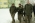 Narodowy Dzie� Pami�ci �o�nierzy Wykl�tych