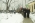 Narodowy Dzie� Pami�ci �o�nierzy Wykl�tych