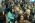 Bolec.info w Zespole Szk� Budowlanych