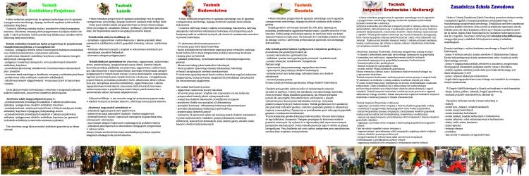 Wicej